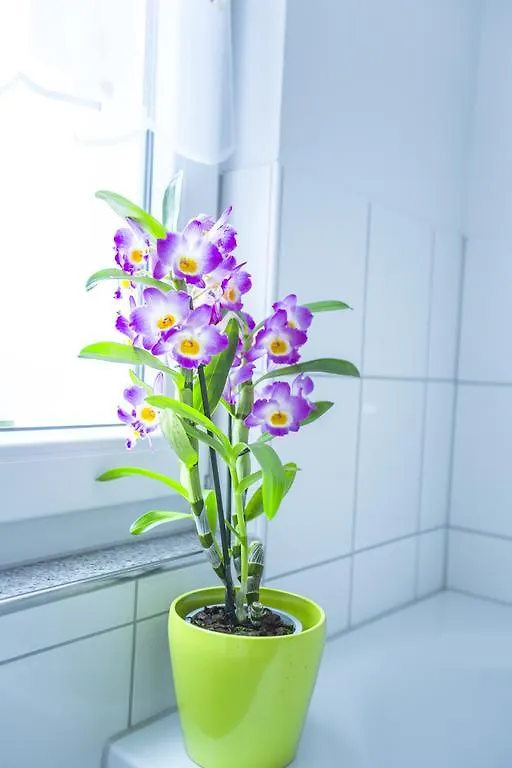 Ferienwohnung Wohnen Auf Zeit Köln