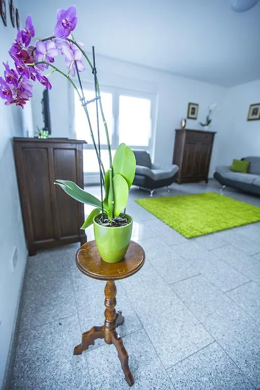 Ferienwohnung Wohnen Auf Zeit Köln Apartment